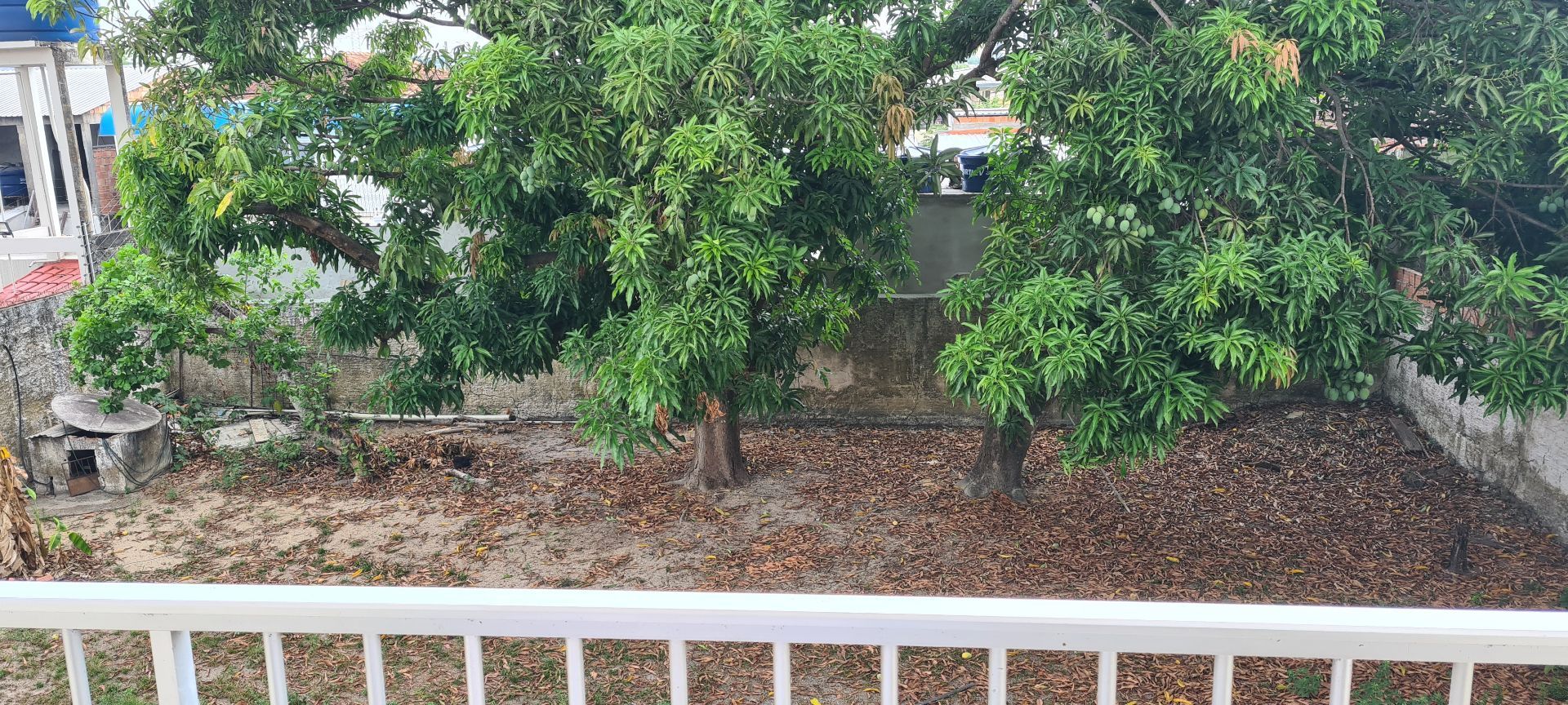 FOTO_2 - 2
