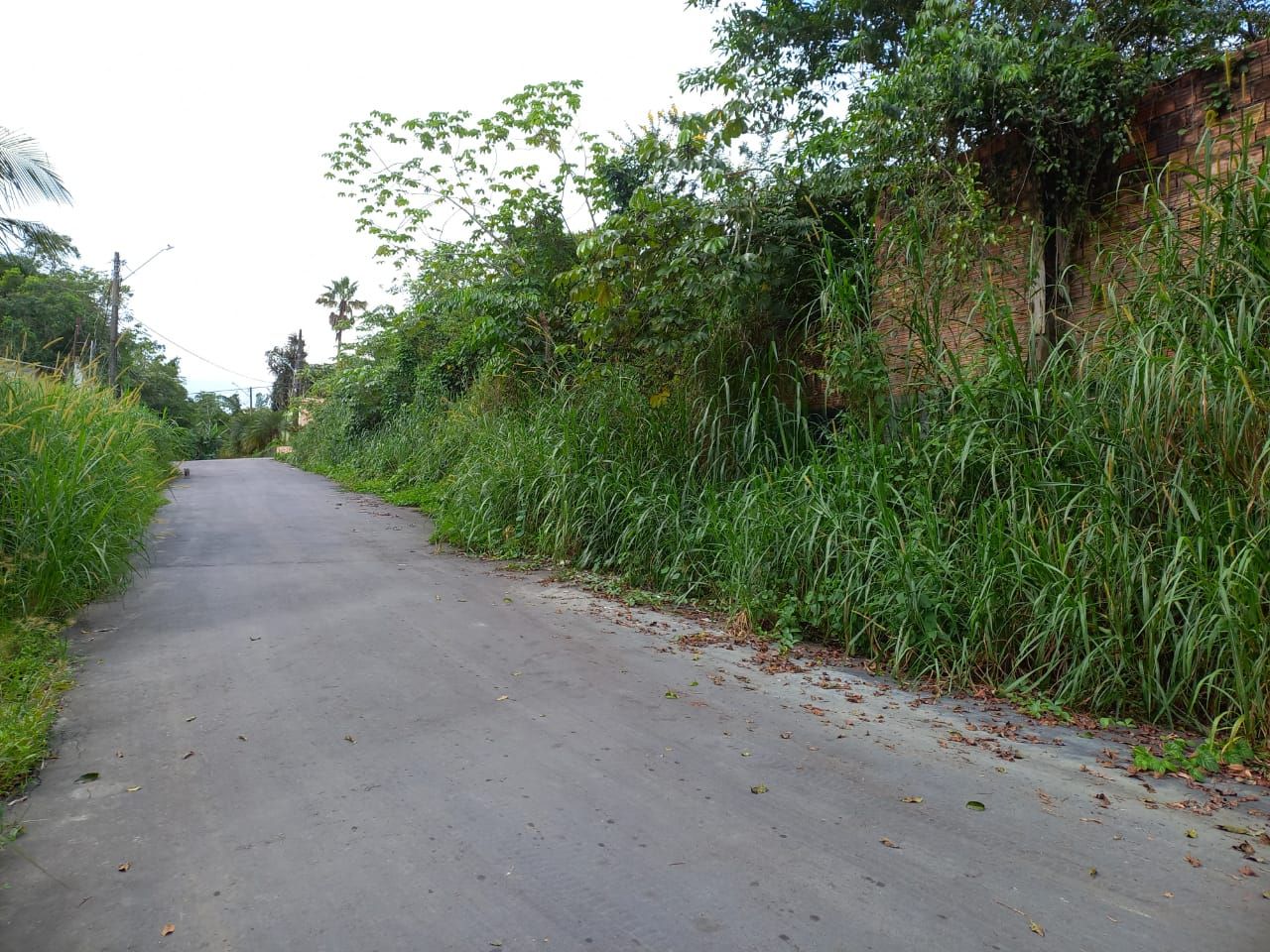 FOTO_10 - 10