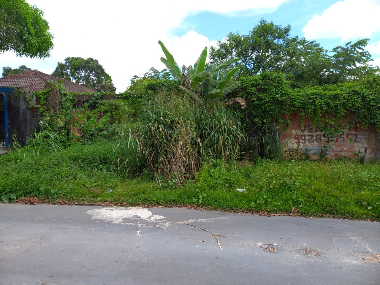FOTO_2 - 2