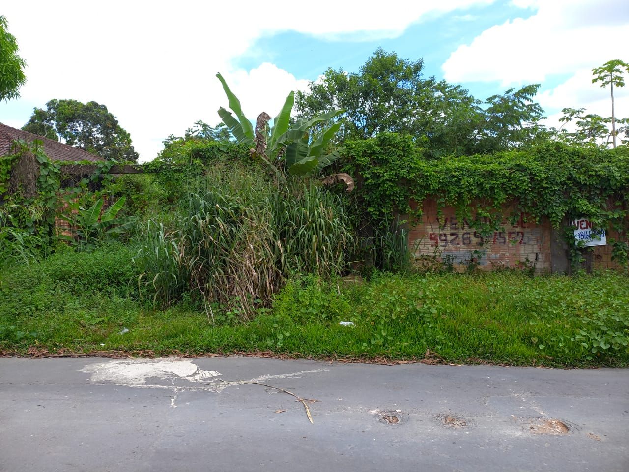 FOTO_3 - 3