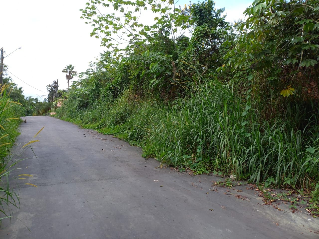 FOTO_9 - 9