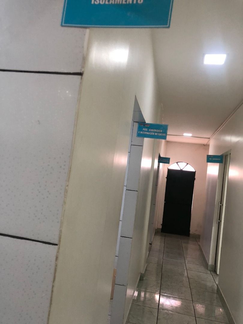 FOTO_5 - 5