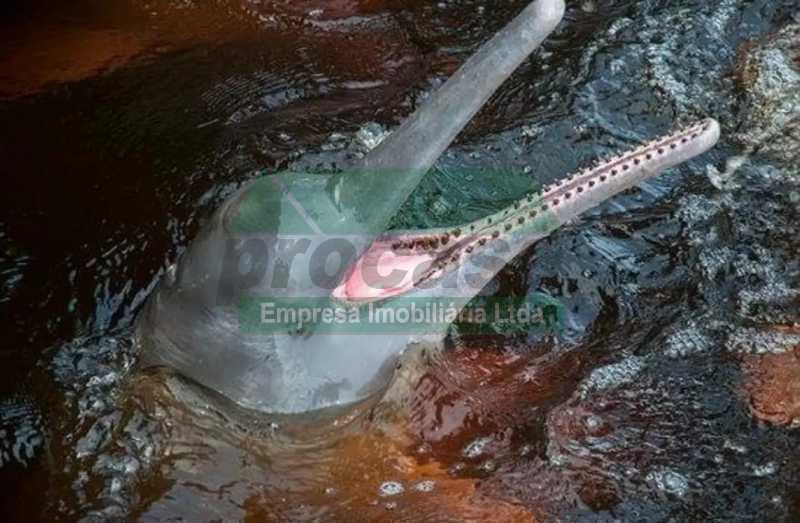 WhatsApp Image 2023-11-03 at 1 - 7