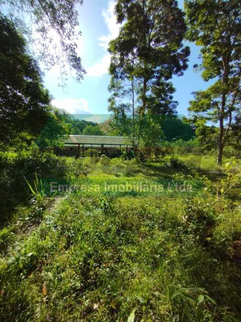 Imagem do WhatsApp de 2025-07- - 4