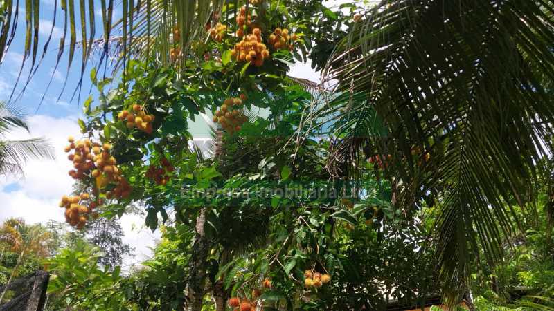 IMG-20260226-WA0022 - 22