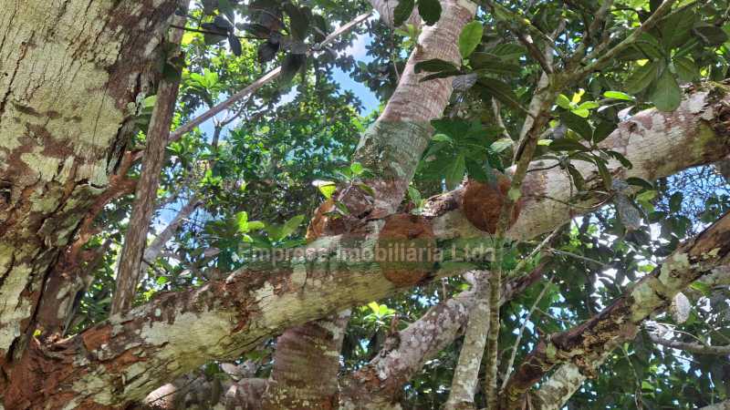 IMG-20260226-WA0042 - 19