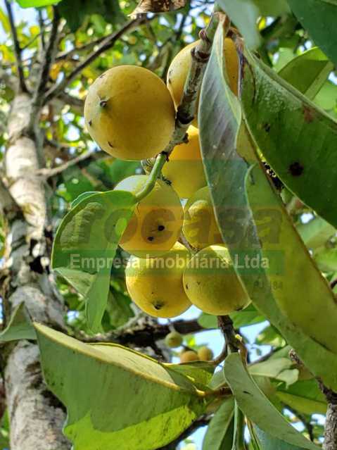 IMG-20260226-WA0048 - 23