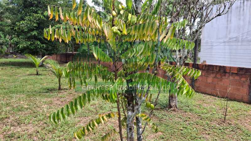 IMG-20260226-WA00461 - 30
