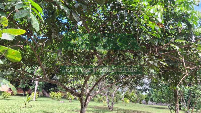IMG-20260226-WA00451 - 31