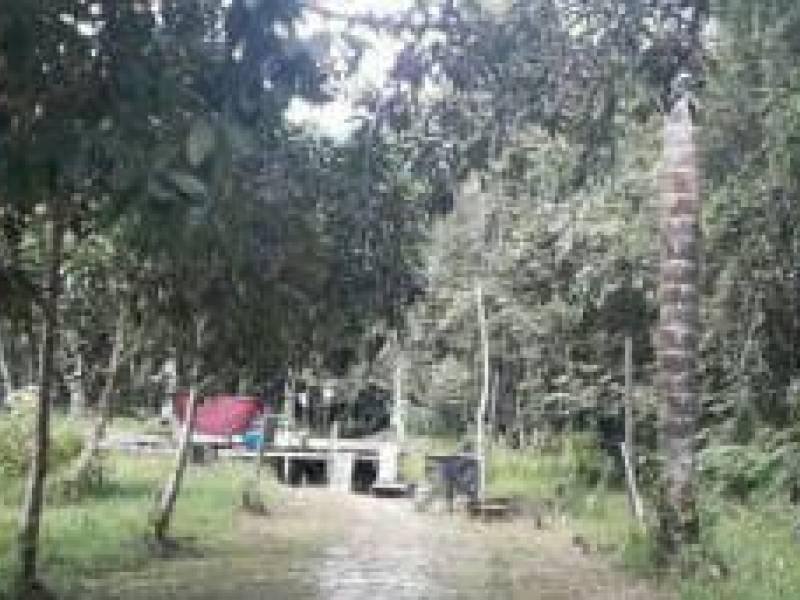 FOTO_3 - 3