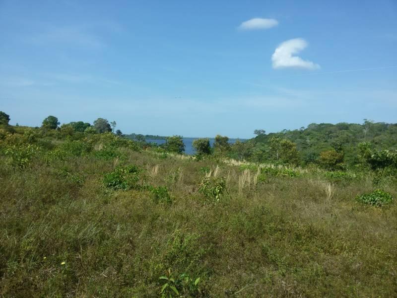 FOTO_1 - 1