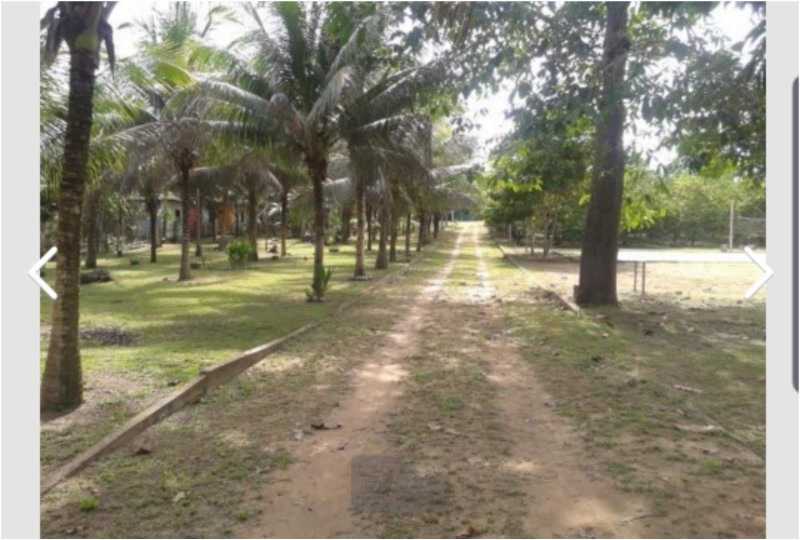 WhatsApp Image 2023-03-29 at 1 - 6