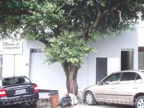FOTO_1 - 1