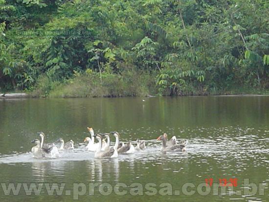 FOTO_23 - 23