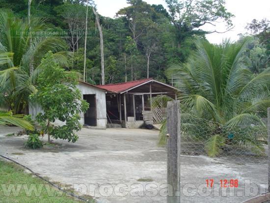 FOTO_8 - 8