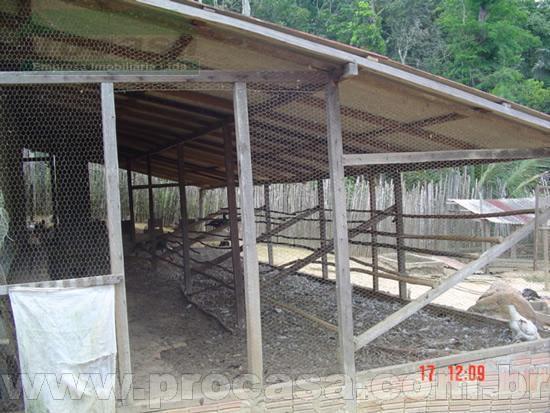 FOTO_9 - 9