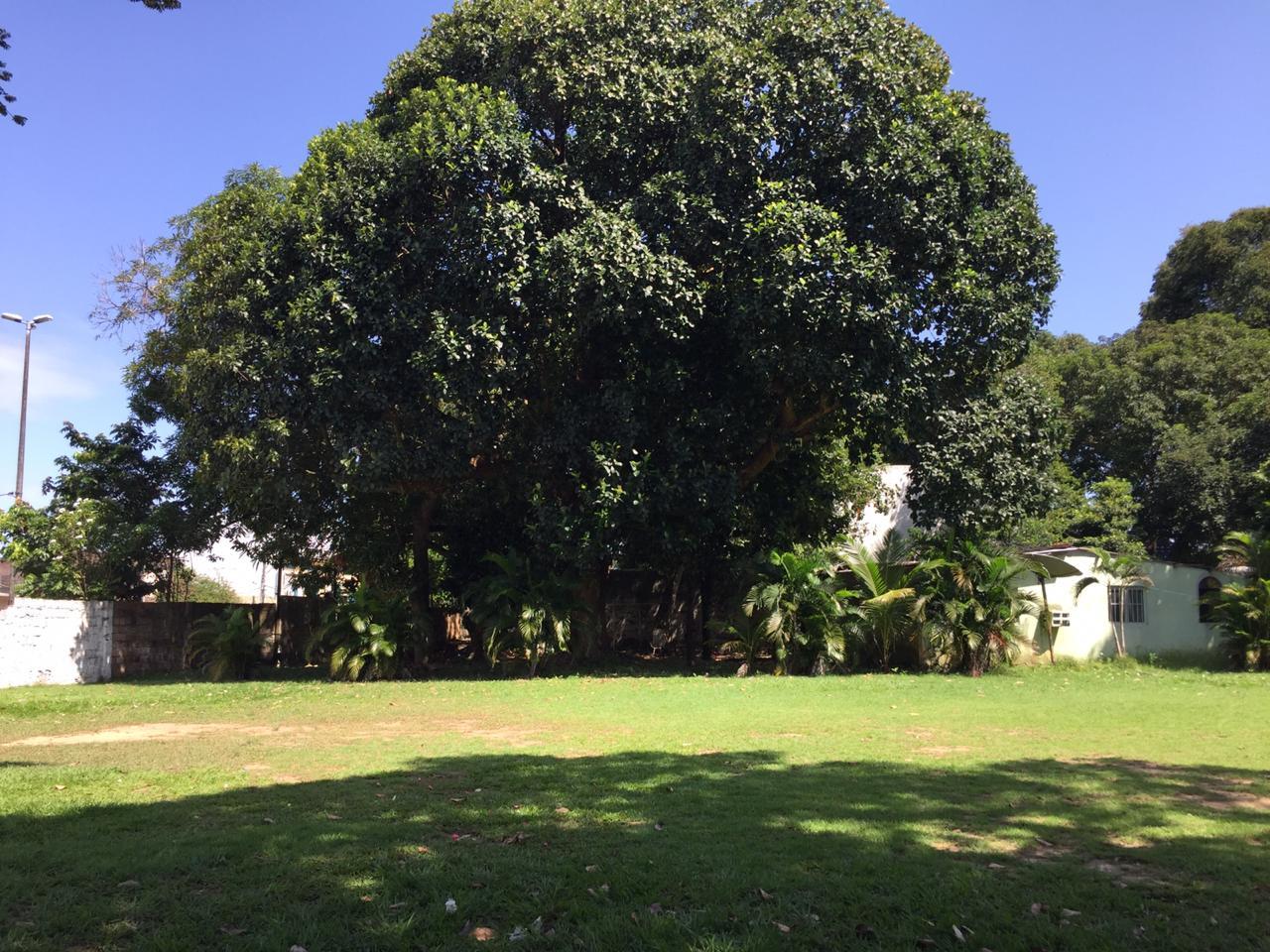 FOTO_11 - 11