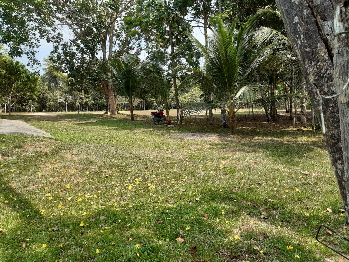 FOTO_14 - 14