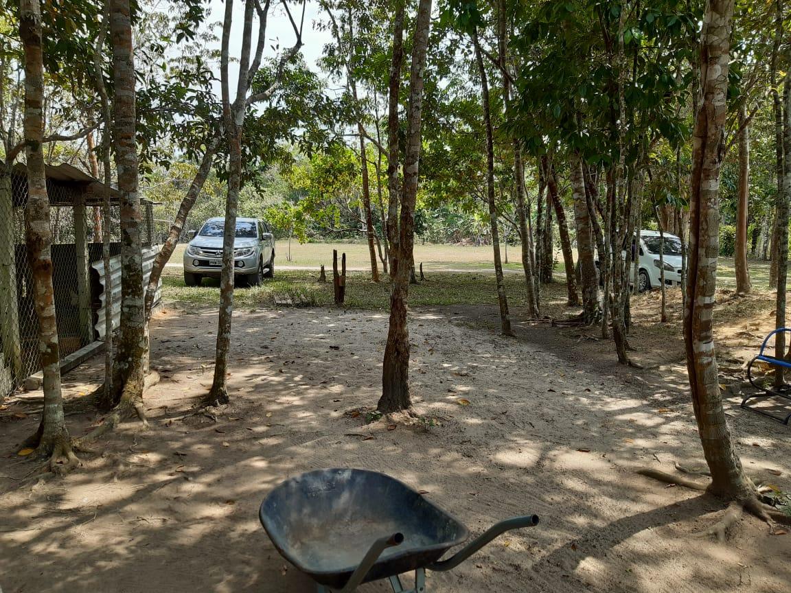 FOTO_5 - 5