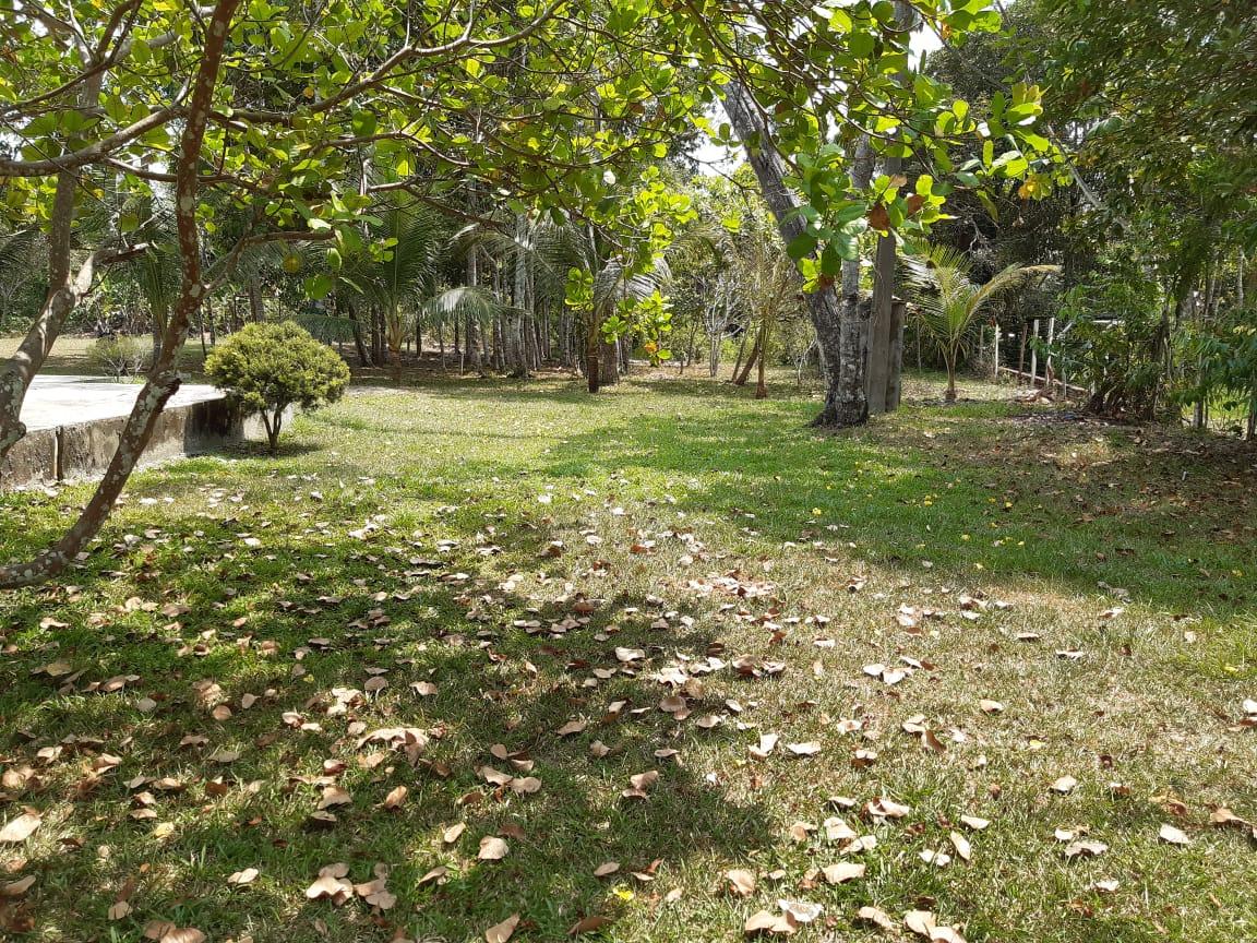 FOTO_6 - 6
