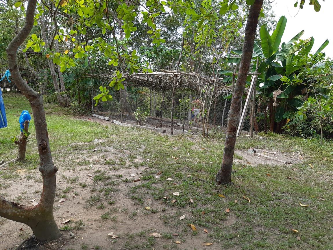 FOTO_8 - 8
