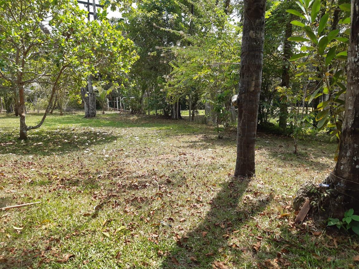 FOTO_9 - 9