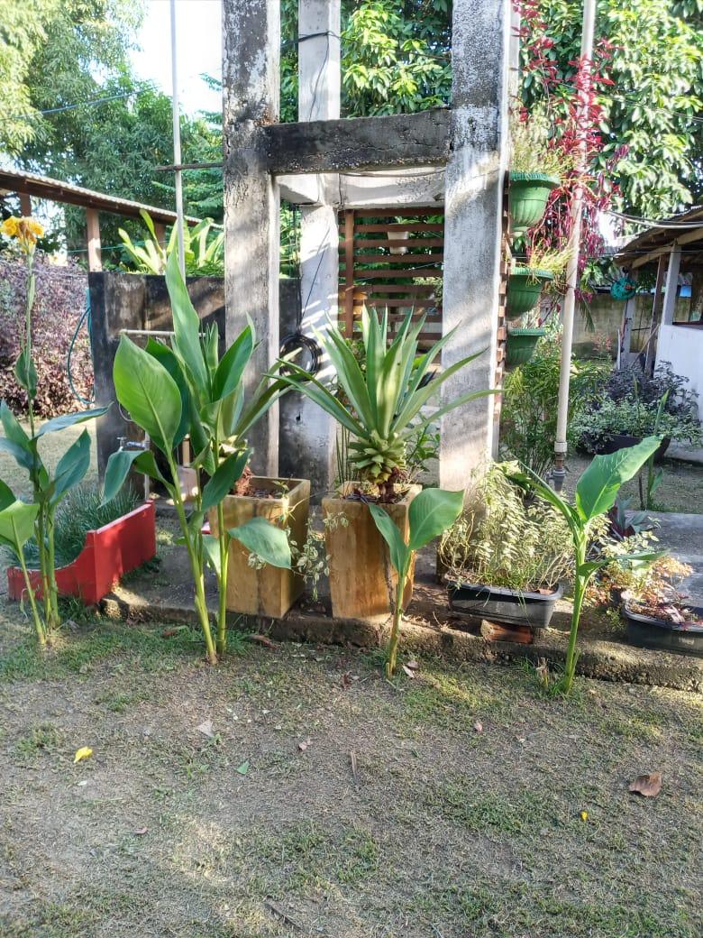FOTO_12 - 12