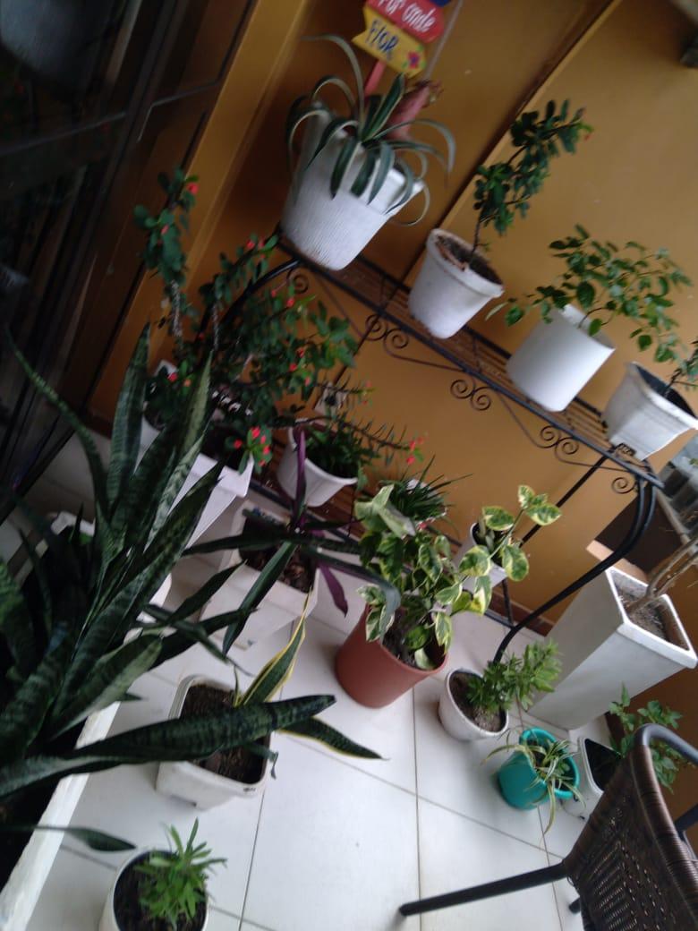 FOTO_4 - 4