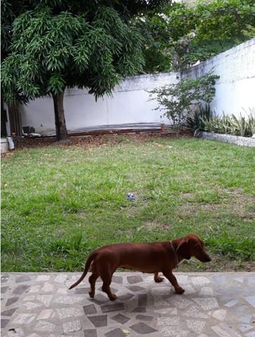 FOTO_14 - 14