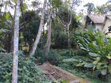 Imperdível - Terreno em Paraty Pronto para Construir - Casa Existente e Escritura Ok - IJCA00001