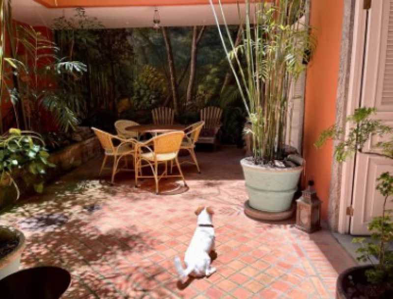 Jardim interno - 5