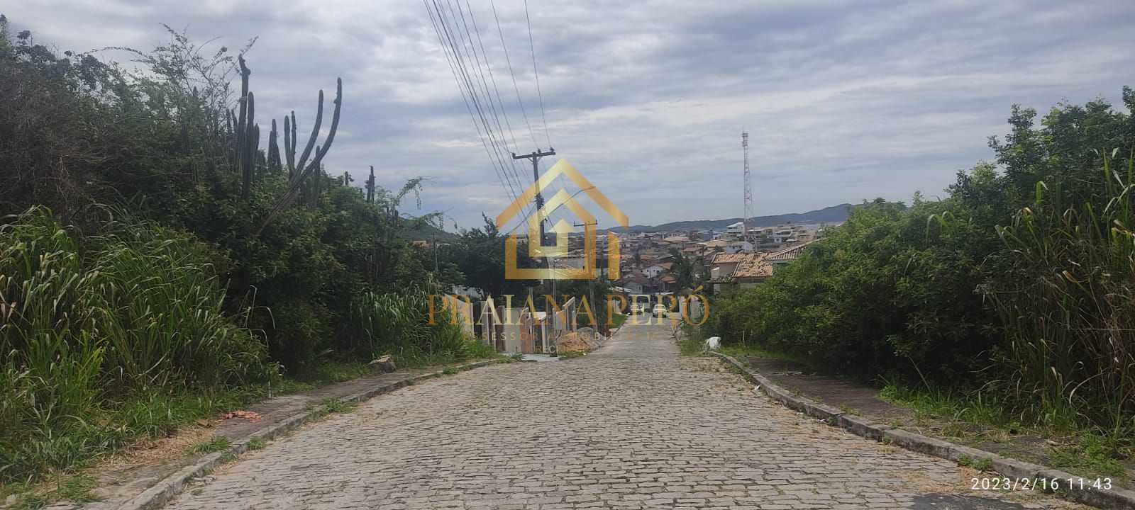 FOTO_25 - 25