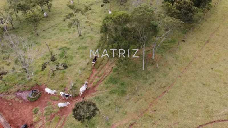 Conheça 2 do imóvel - Fazenda à venda Avenida Henrique Frederico Milanesi, Vila Moreira, Botucatu - R$ 3.500.000 - SitiocastelobrancoKlm212.5 - 2 2 - 2