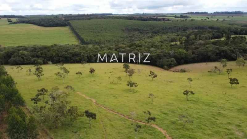 Conheça 1 do imóvel - Fazenda à venda Avenida Henrique Frederico Milanesi, Vila Moreira, Botucatu - R$ 3.500.000 - SitiocastelobrancoKlm212.5 - 1 1 - 1