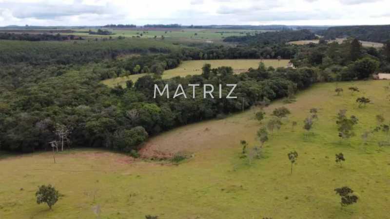 Conheça 6 do imóvel - Fazenda à venda Avenida Henrique Frederico Milanesi, Vila Moreira, Botucatu - R$ 3.500.000 - SitiocastelobrancoKlm212.5 - 6 6 - 6