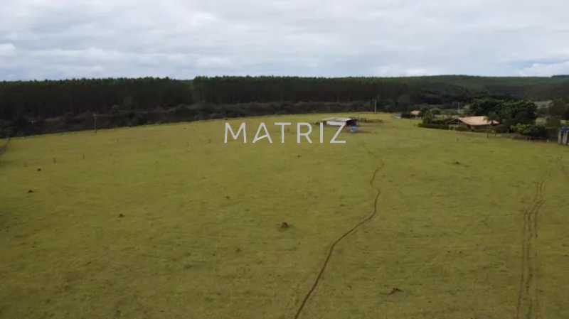 Conheça 8 do imóvel - Fazenda à venda Avenida Henrique Frederico Milanesi, Vila Moreira, Botucatu - R$ 3.500.000 - SitiocastelobrancoKlm212.5 - 8 8 - 8