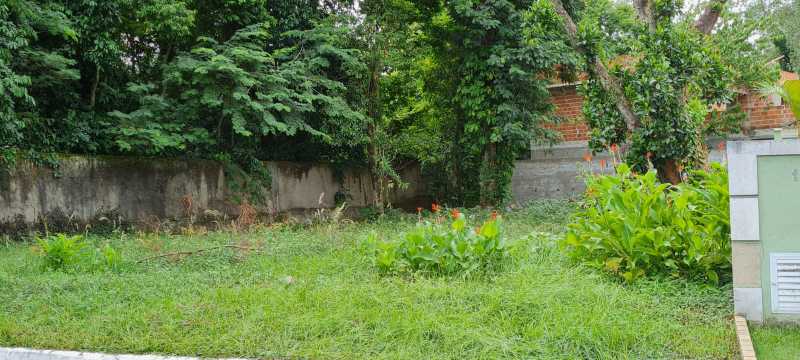 IMG-20240809-WA0038 - 6
