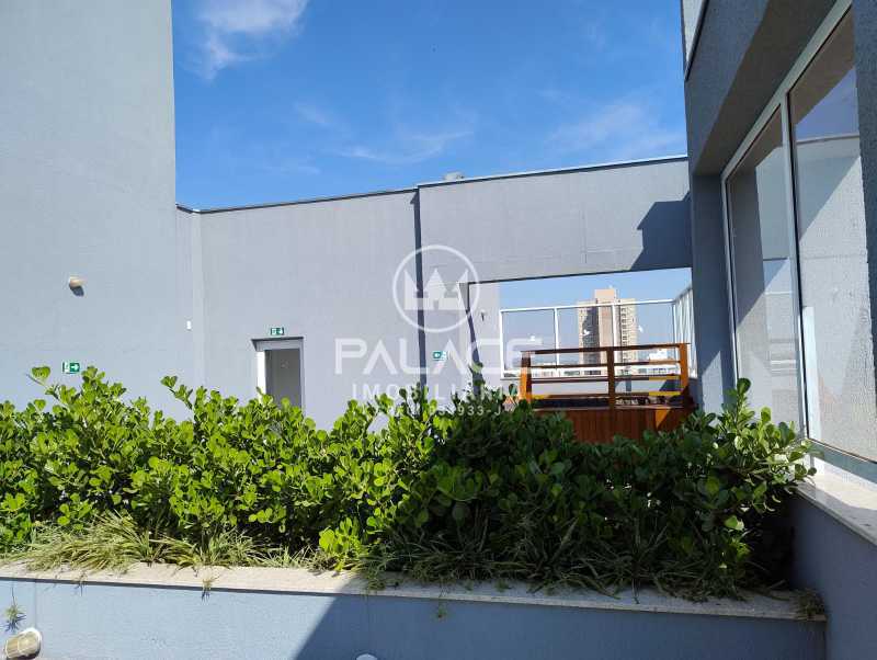 jardim - 15