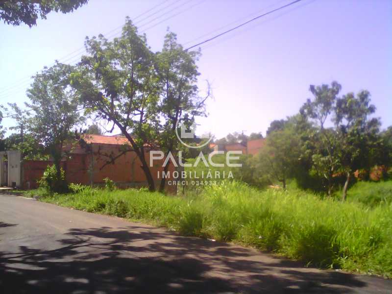 TERRENO - 3