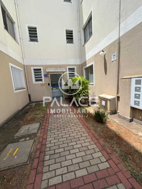 PAAP20335 Paradiso 17. - 16