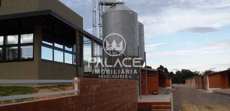 PAFA00011 Conchas 11 - 12