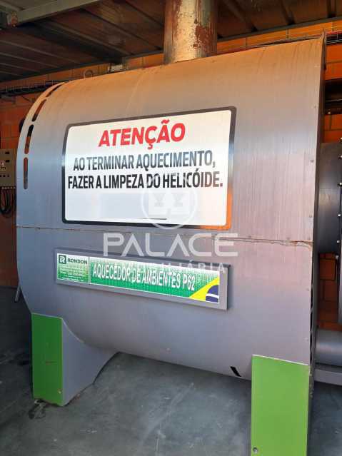 PAFA00011 Conchas 23 - 23
