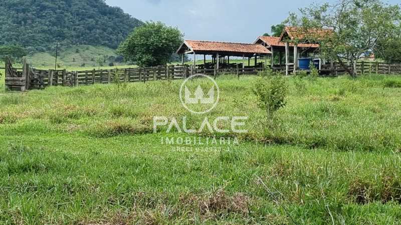 WhatsApp Image 2025-02-21 at 1 - 1