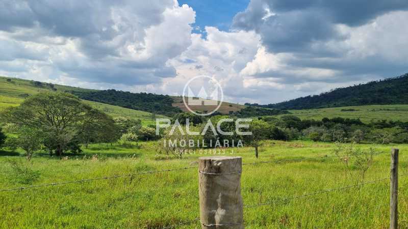 WhatsApp Image 2025-02-21 at 1 - 9