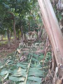 Terreno Comercial 1000m² para alugar Jaraguá, Piracicaba - R$ 700 - PATC00048