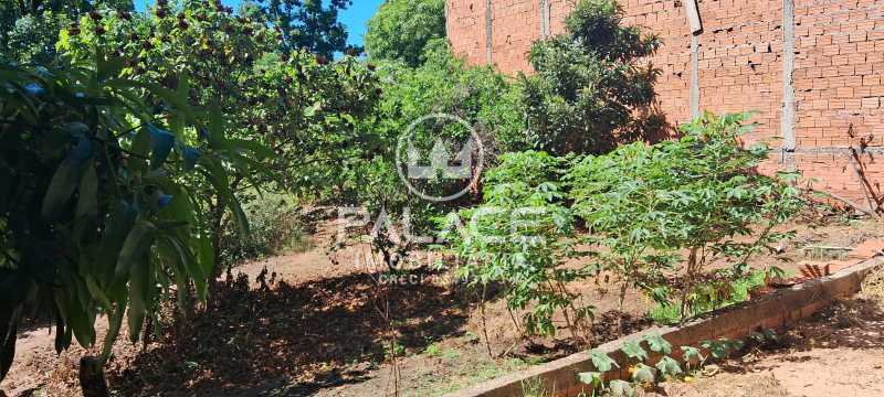 IMG-20250914-WA0012 - 14