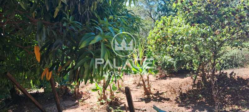 IMG-20250914-WA0013 - 17