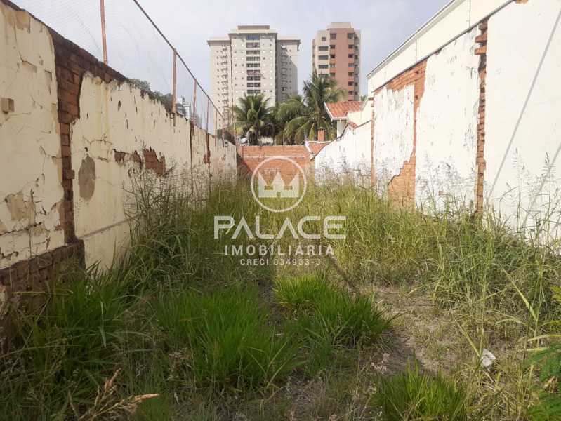 WhatsApp Image 2025-11-18 at 1 - 3