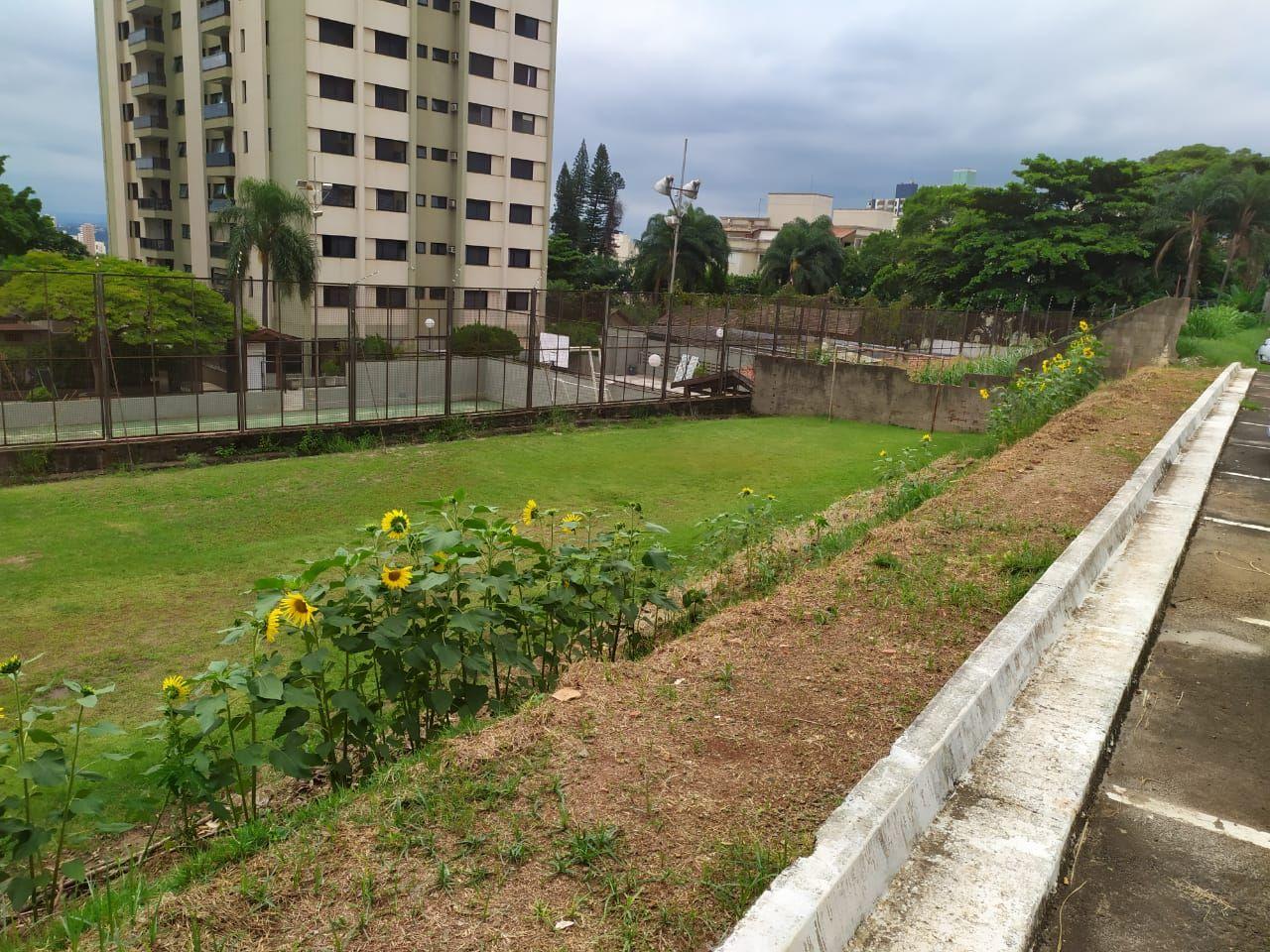FOTO_4 - 4