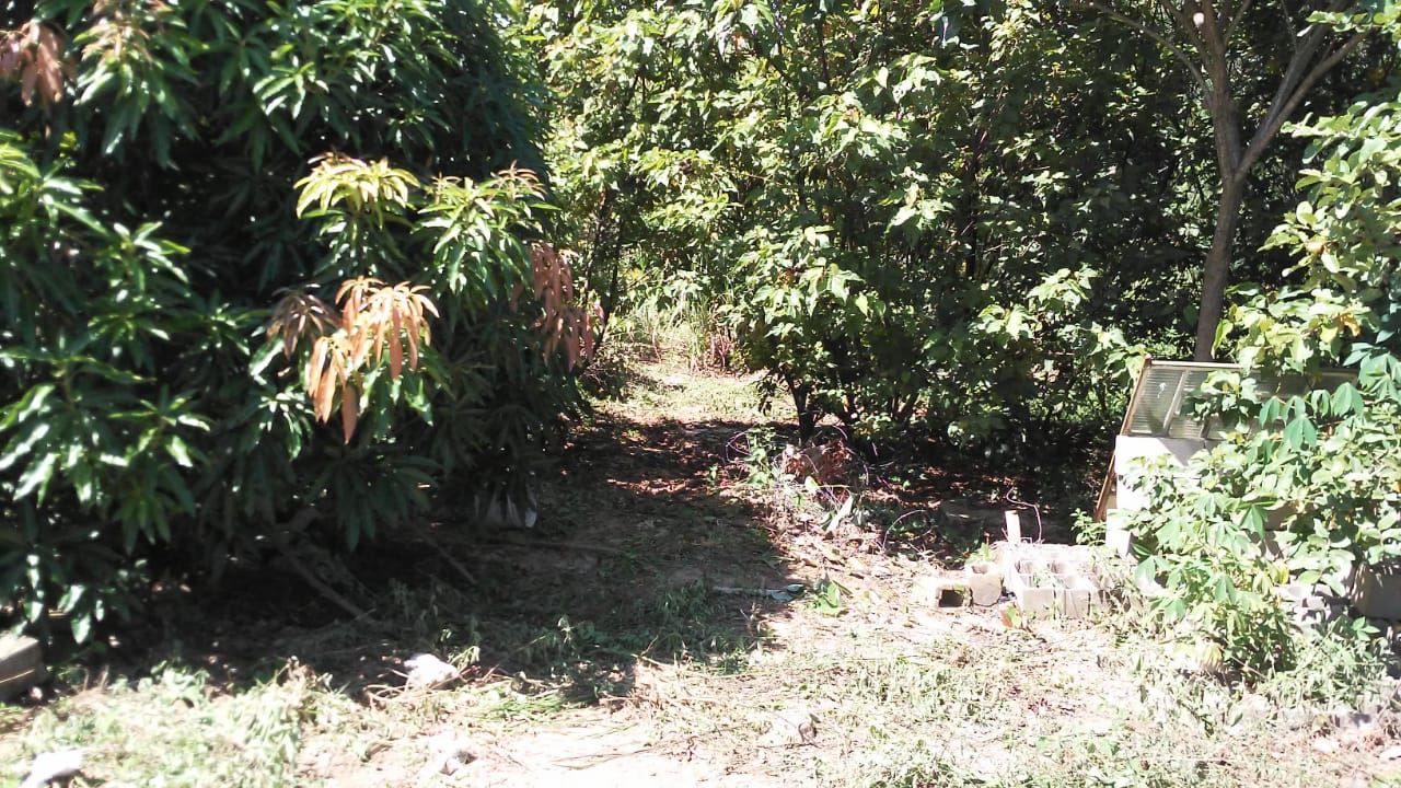 FOTO_1 - 1